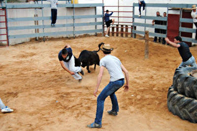 Prohibirán vaquillas en ferias y festejos de Tlaxcala